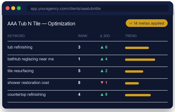 SEOCharter rank tracking and optimization dashboard
